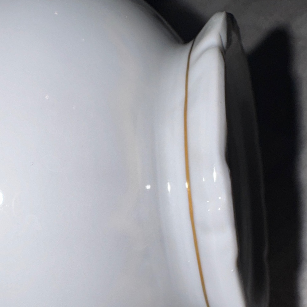 Vtg Winterling Germany Porcelain Bowl w lid floral and gold trim sugar/tea bags - Picture 11 of 12